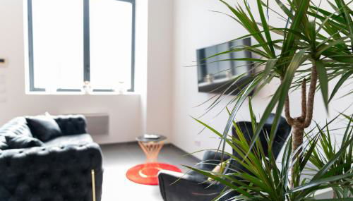 LOFT LA MINE D'OR - Parking gratuit et privé - Wifi - Tout équipé - Machine à laver - Foto 5