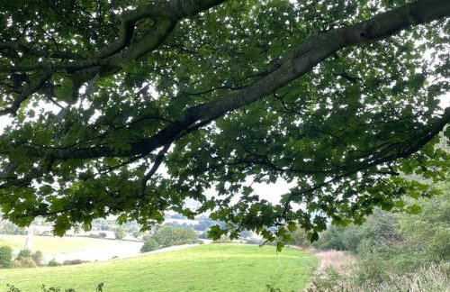 Foxhall Farm - Foto 52