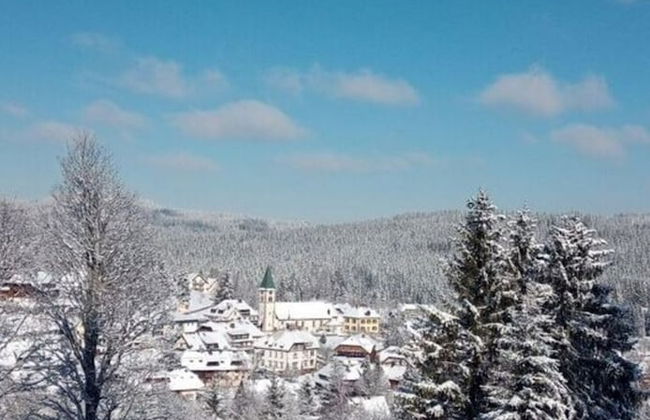 Pine Cones in the Haslehaus - Foto 13