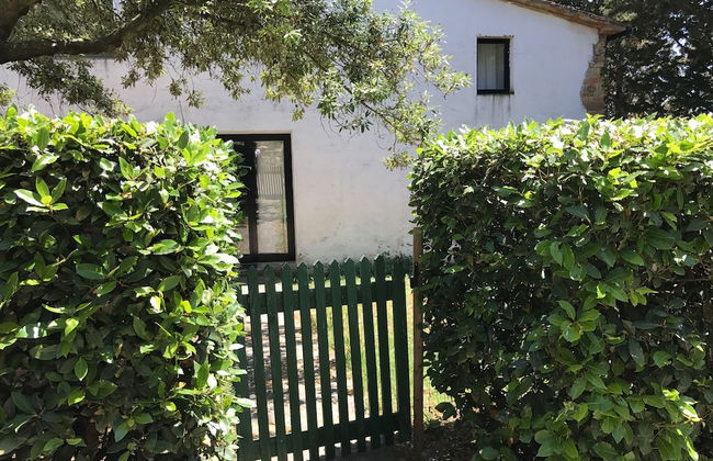 Agriturismo San Ottaviano - Foto 66