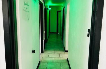 The Greenhouse Effect - Foto 26