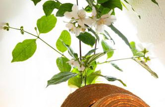 Apartments Sunny Elza - Foto 32