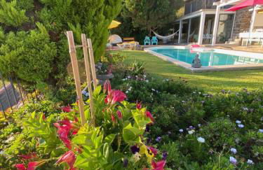 Casa de Prazeres - Foto 56