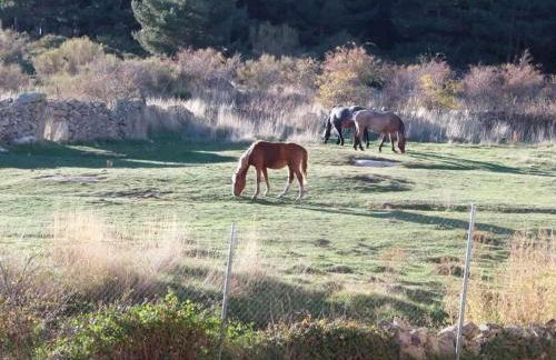 Casa Iona chalet adosado con vistas a la montaña - Foto 12