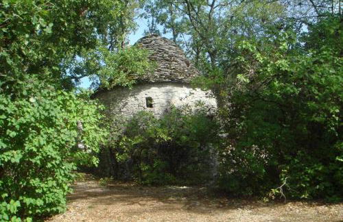 location maison à Cajarc 46160 (Lot) - Photo 24