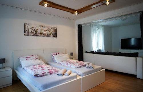 Sehr große Ferienwohnung, Apartment in Kaiserslautern WeHome Classic - Photo 56