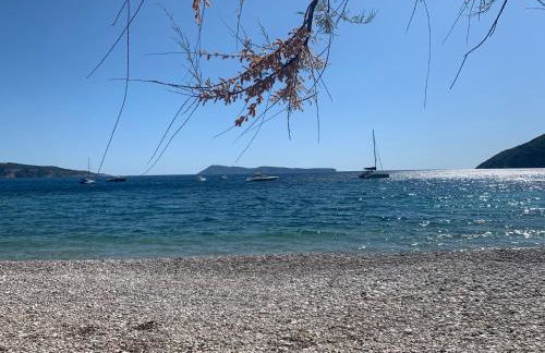 Apartment DUX - Photo 4