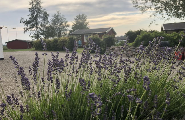 Mälarhusen Semesterby Österlen - Stugor & Gårdssviter - Photo 50