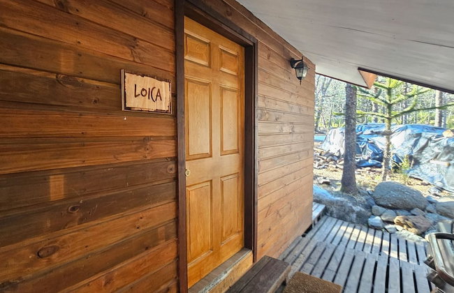 Oceana Suites Corralco - Photo 34