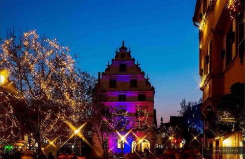 Coeur Alsace - Foto 28