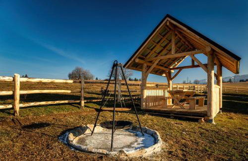 Domki-Przystanek Dzianisz - Foto 75