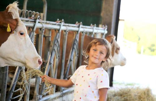 Hollweck´s Landoase - Foto 76