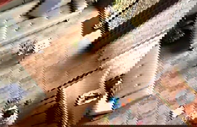 Yarumo Lodge Río Celeste Black Chalets - Photo 14