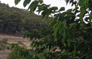 Casa Cueva El Almendro - Foto 46