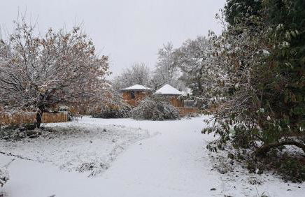 Fun holiday lodges in historic walled garden near Falkirk, Heart of Scotland Holidays - Foto 46