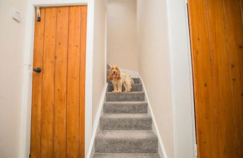 Tig Cottage - a rural, quirky, pet friendly 2 bedroom cottage near Ballantrae - Foto 8