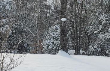 Chandler Hill Base Camp - Enjoy A Nature Getaway in this Rustic Home in the Mountains, 10 minutes from Sunday River Ski Mountain! home - Foto 31