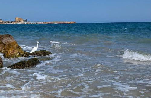 Hacienda Apartment - Foto 56