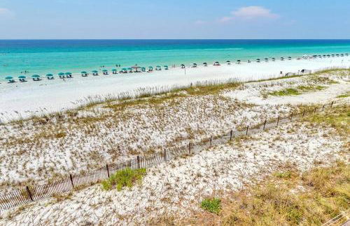 Blue Pelican - Foto 12