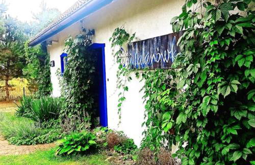 Lawendowa Malanówka - domek nad jeziorem - Foto 2