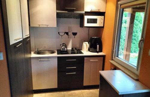 Domek nad jeziorem - Foto 10