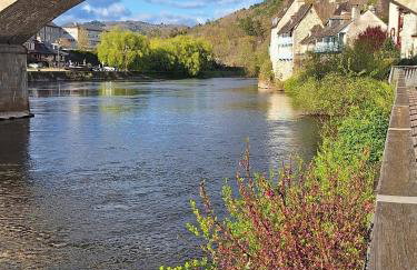 Superbe duplex les belles Rives Argentat bords Dordogne avec wifi - Foto 75