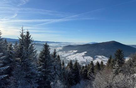 Dom w Starym Sadzie z basenem i sauną - Beskid Wyspowy - Foto 47