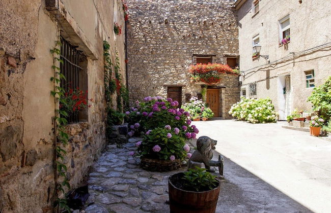 Castillo de Añón de Moncayo - Foto 37