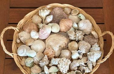 Casa Tre Mari exclusive private beach apartment - Foto 23