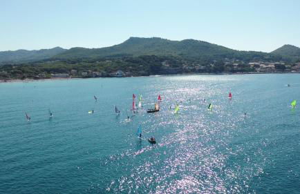 Les arbousiers - Foto 45