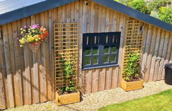 Honeysuckle Cabin - Photo 16