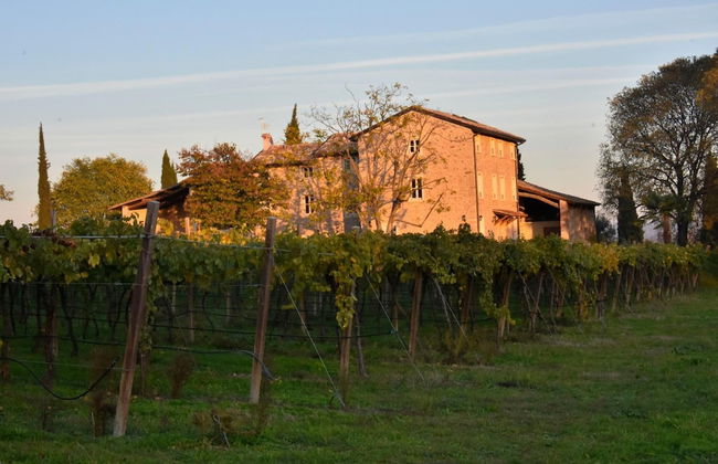 Country House Le Palazzole - Foto 26