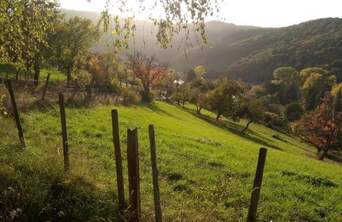 tiny house Pfalz Wellness und Wanderurlaub - Foto 33