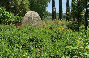 Cipressini - Foto 14