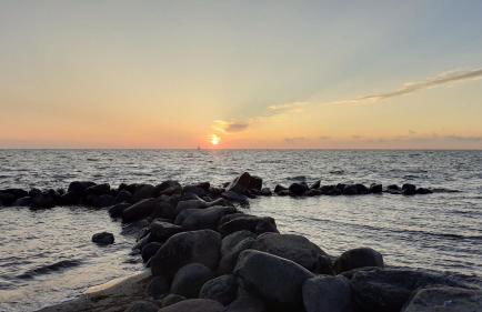 Ferienhaus Waldidyll - Erholung zwischen Schlei und Ostsee - Foto 7