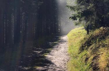 Apartament w Stroniu - Foto 32