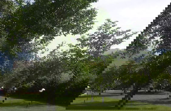 Hotel Il Ciliegio - Foto 28