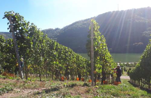 Ferienhaus Moritz - Foto 18