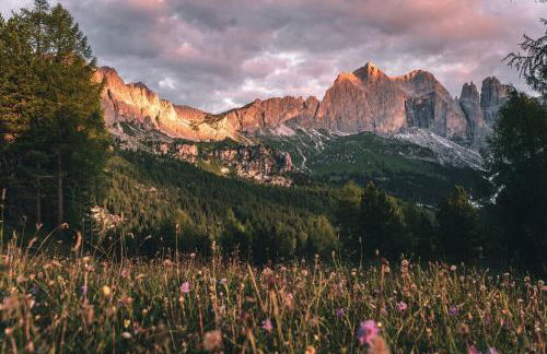 Appartamenti Césa Col De Pin - Foto 37