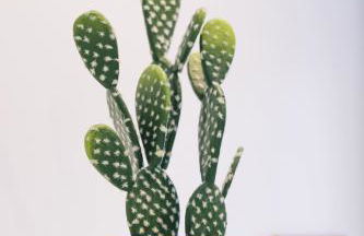 Autour du Monde #Netflix #Centre historique #Calme - Foto 10