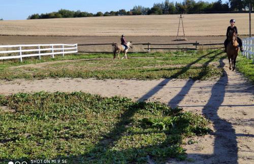 Folwark Malinowy Chruśniak - Foto 46