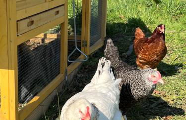 Cottage avec Piscine et Jacuzzi - Normandie - Foto 32