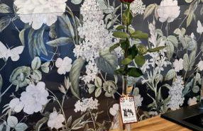 Domek Koziołek przy szlaku, Szyndzielnia, Klimczok, Szczyrk, Bania - Foto 43