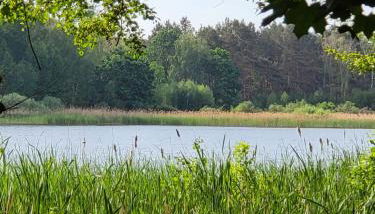 Haus Nutheblick - Komfort Appartement - Foto 3