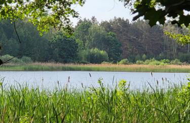 Haus Nutheblick - Komfort Appartement - Foto 3