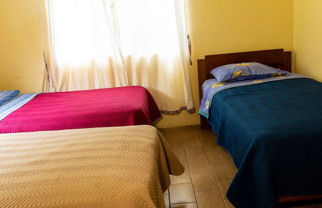 Casa de campo Los Yungas - Photo 7