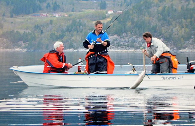 Holiday Home in EidsvÃ¥g - Foto 29