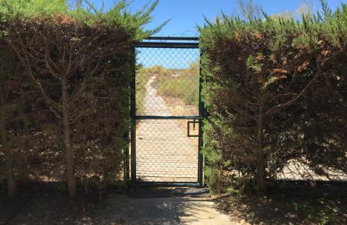 Playa San Miguel - Foto 42