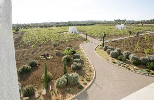 TENUTAYALA - Residenza Agrituristica - Foto 17