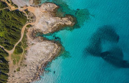 Villa El Mal Pas / Can Seguinet - Foto 15